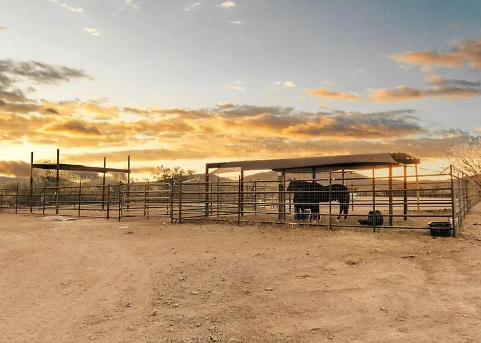 Luxuszelt Exclusive Luxury Glamping Retreat With Stargazing & Desert Trails Near Saguaro National Park, Arizona *