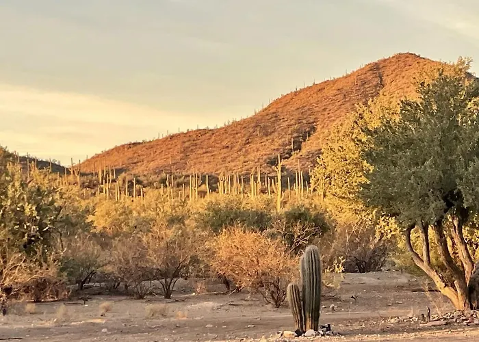 Luxuszelt Exclusive Luxury Glamping Retreat With Stargazing & Desert Trails Near Saguaro National Park, Arizona Marana